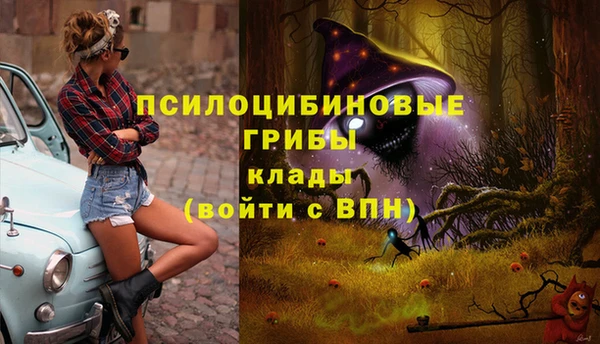 прущая мука Абаза