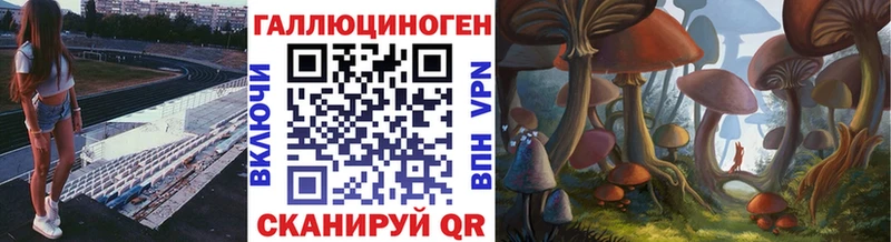 Псилоцибиновые грибы Psilocybe  Вилюйск 